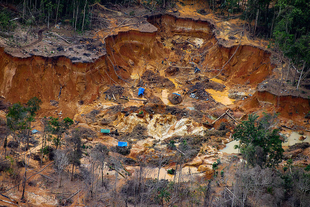 Illegal Mining in Yanomami Indigenous Land in Brazil. © Christian Braga / Greenpeace