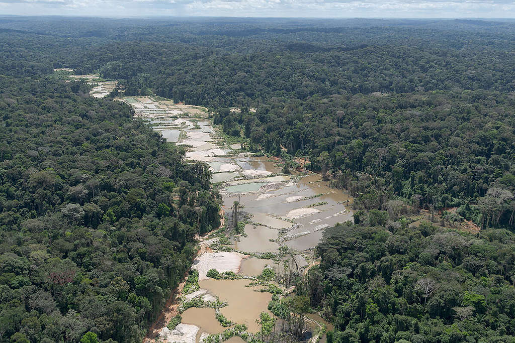 A view of mining in the Munduruku Indigenous Land in Brazil from May 2020. © Marcos Amend / Greenpeace