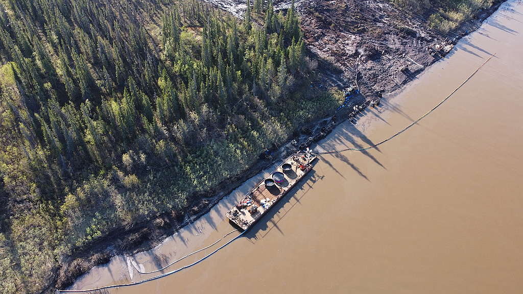 Oil cleanup activities underway at the Kolva river, border of the Nenets Autonomous Region and the Republic of Komi, Russian Federation. 
© Greenpeace Russia