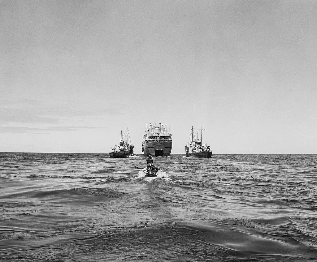 Soviet Whaling Action in North Pacific. © Greenpeace / Rex Weyler Soviet Whaling Action in North Pacific. © Greenpeace / Rex Weyler