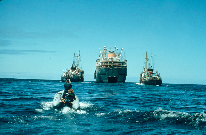 Russian Whaling Fleet in North Pacific. © Greenpeace / Rex Weyler