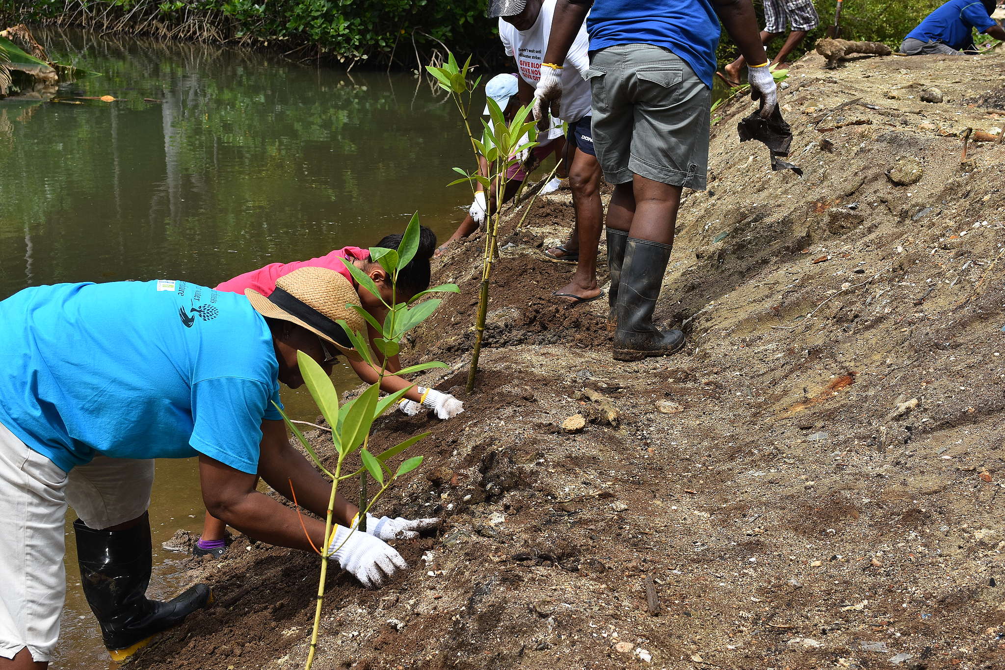 community-engaging-in-the-restoration