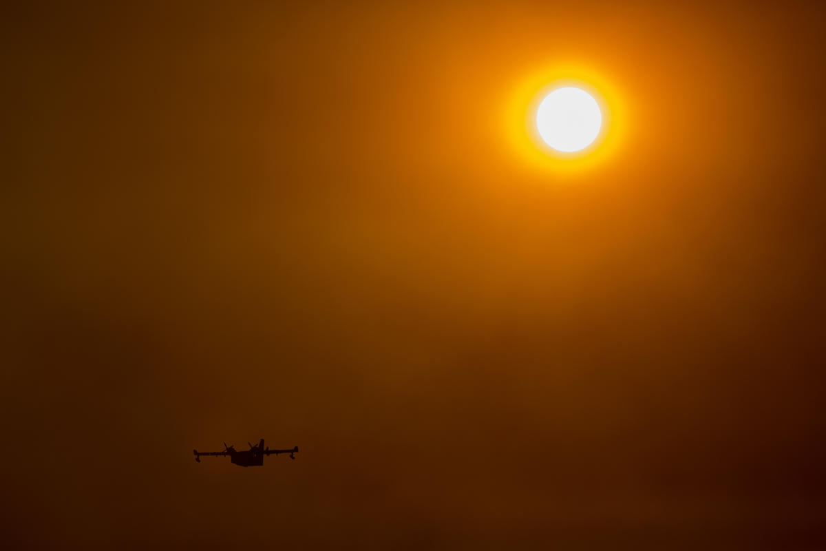 California Holy Wild Fire. © David McNew / Greenpeace