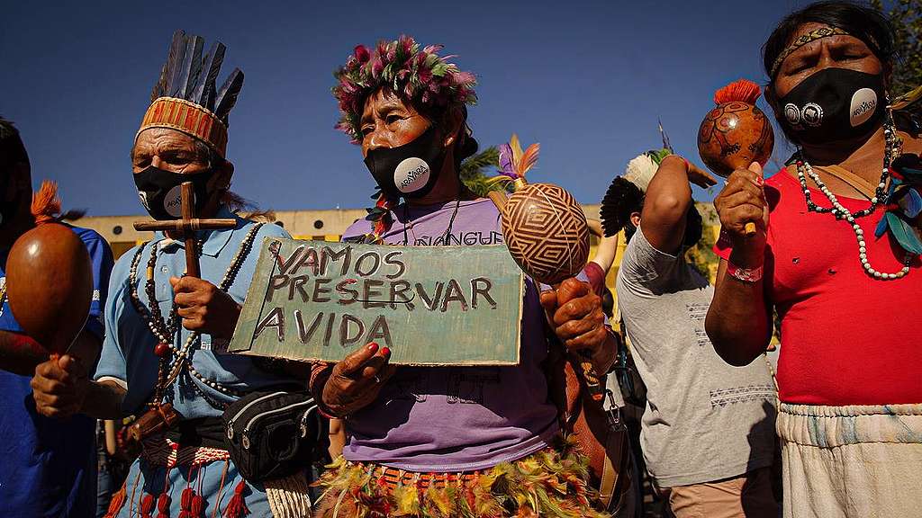 Violence against the Indigenous Peoples in Brazil