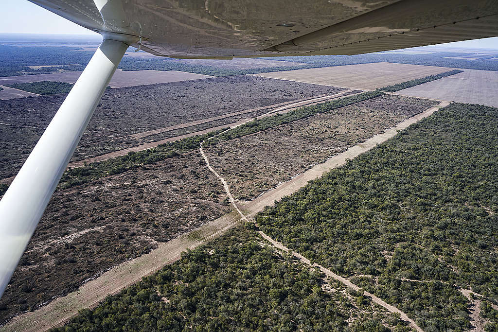 Flyover deforested land in Chaco region of Argentina. © Alejandro Espeche / Greenpeace