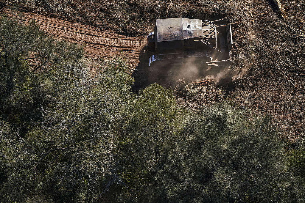 Bulldozer clearing path and removing branches in Chaco province of Argentina. ©Alejandro Espeche / Greenpeace
