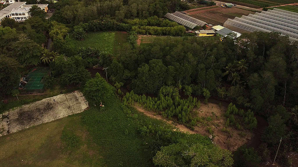 Drone footage of the Anse Royale Wetland © Dean Rose Drone footage of the area © Dean Rose