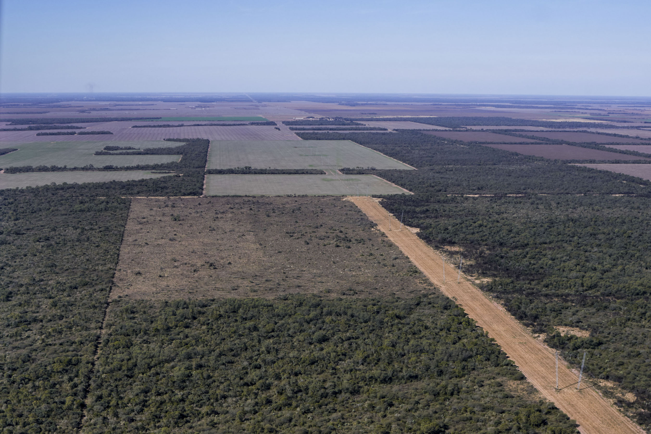 Overhead shot of forest clearing in the Chaco province of Argentina. © Alejandro Espeche / Greenpeace