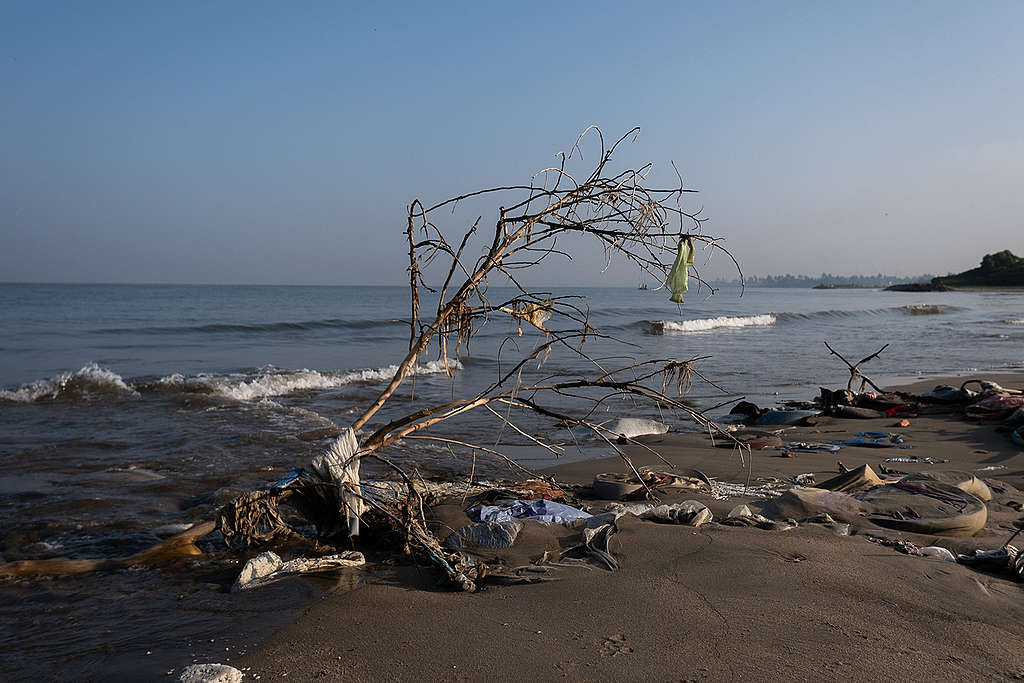 A washed up tree branch on a beach littered with plastic pollution.