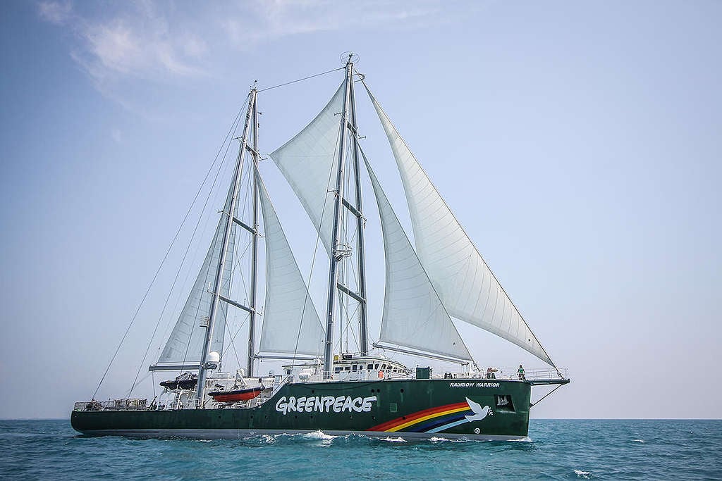 Save Pari Island Rainbow Warrior Activity in Indonesia. © Dhemas Reviyanto / Greenpeace