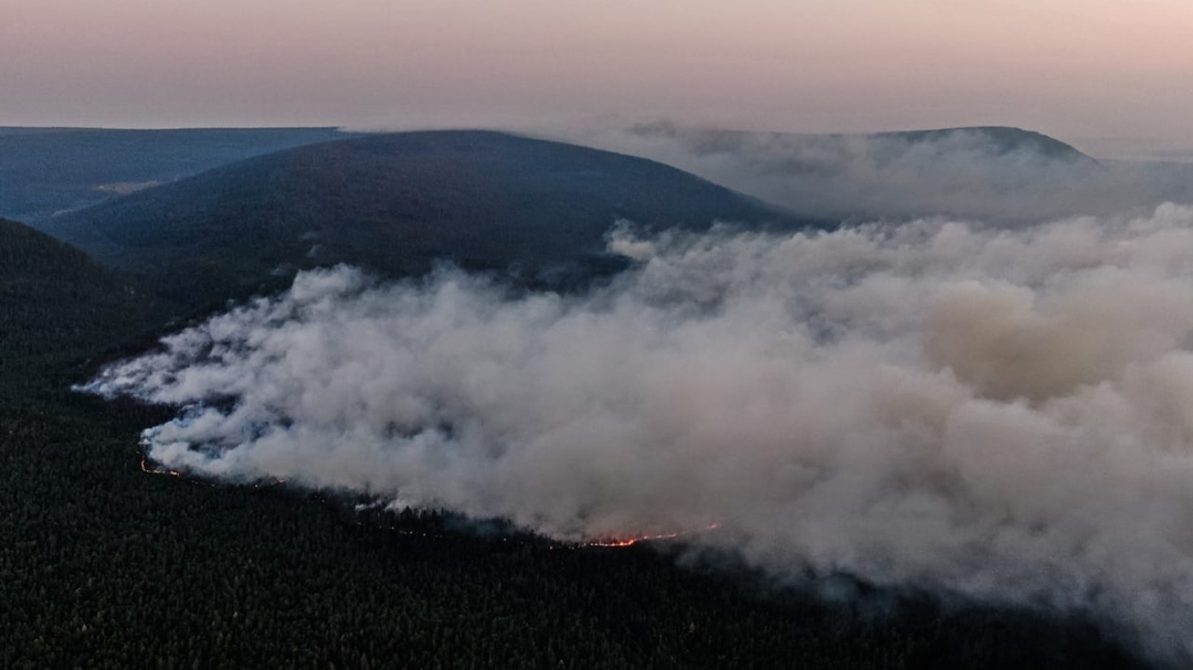 Forest fires and smoke in Russia, August 2021. © Juliya Petrenko / Forest People