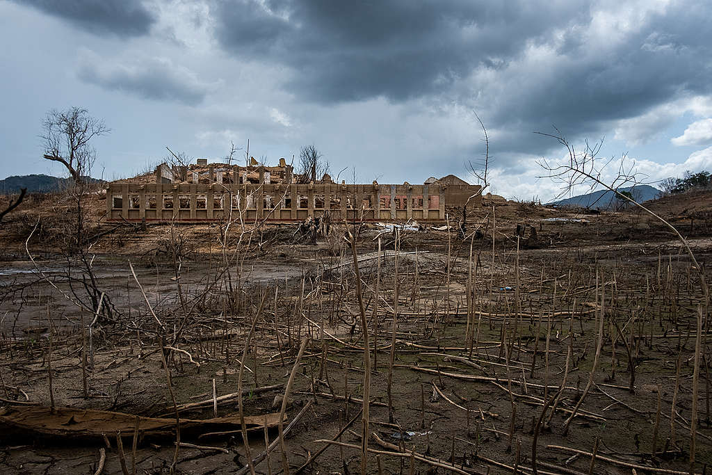 Numerous dried up trees and branches are scattered against an equally dry, brown land against the backdrop of a building remains.