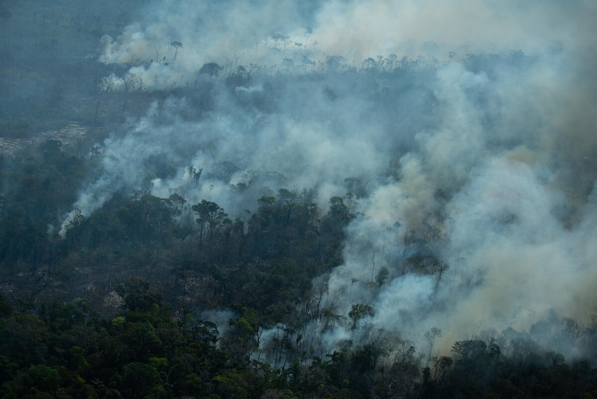 Fire Monitoring in the Amazon in July, 2021. © Christian Braga / Greenpeace