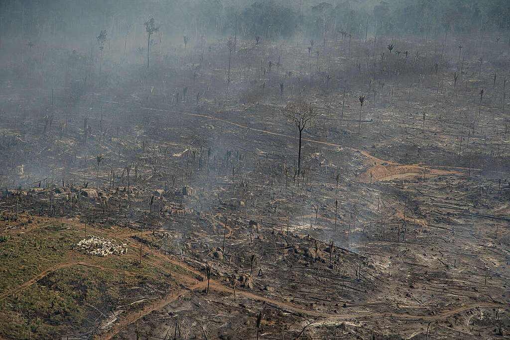 Fire Monitoring in the Amazon in July, 2021. © Christian Braga / Greenpeace