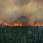 Fire Monitoring in the Amazon in July, 2021. © Christian Braga / Greenpeace