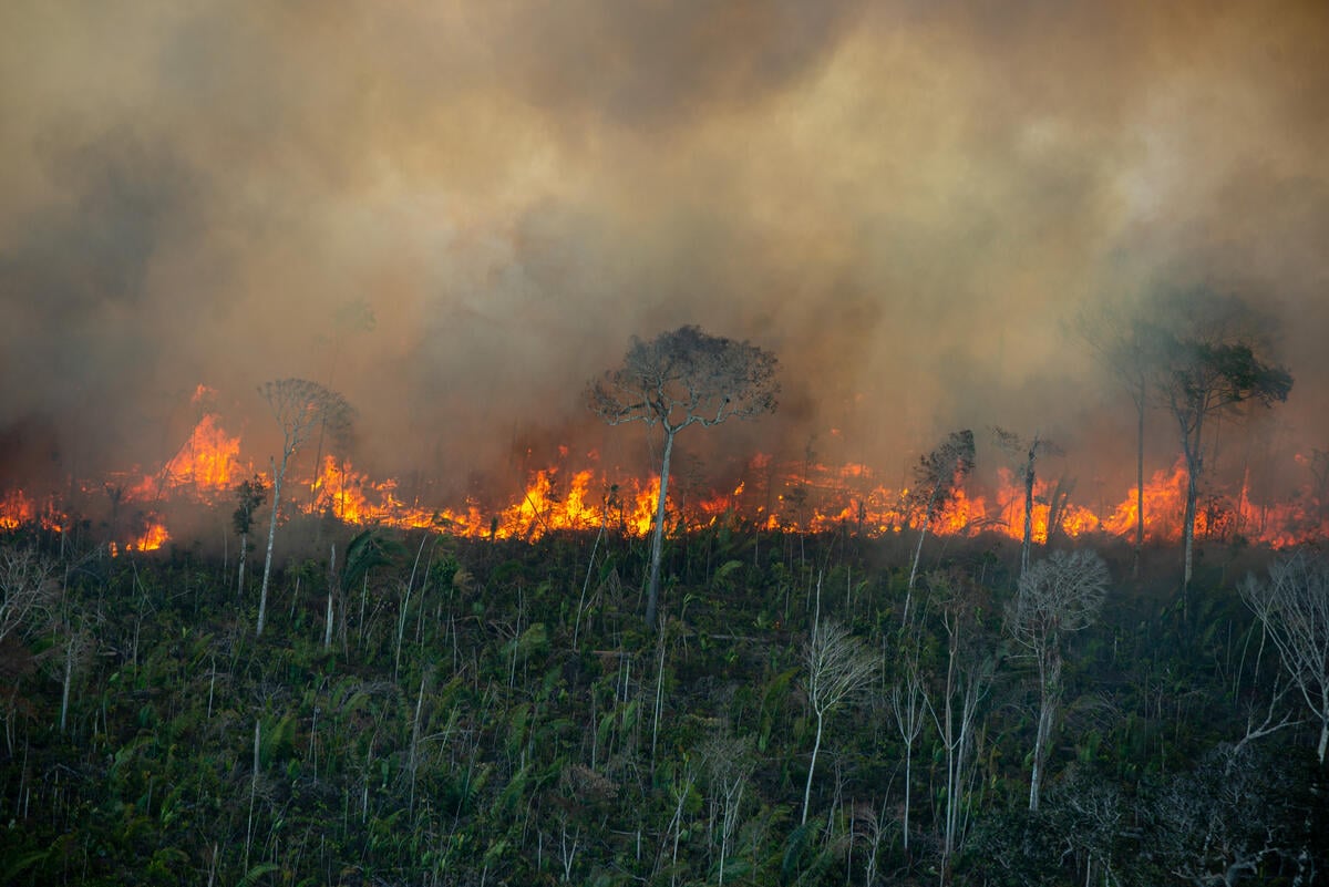Fire Monitoring in the Amazon in July, 2021. © Christian Braga / Greenpeace