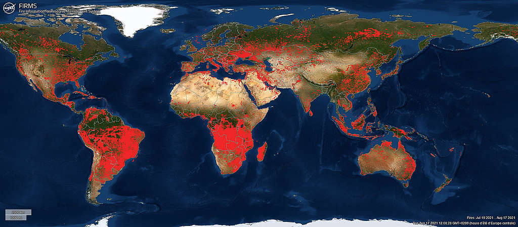 NASA / Fire Information for Resource Management System map showing fires from 19 July to 17 August