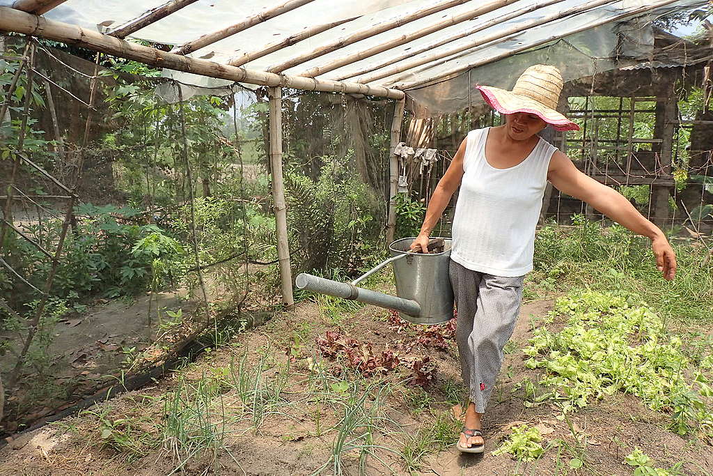 Farmer with watering can