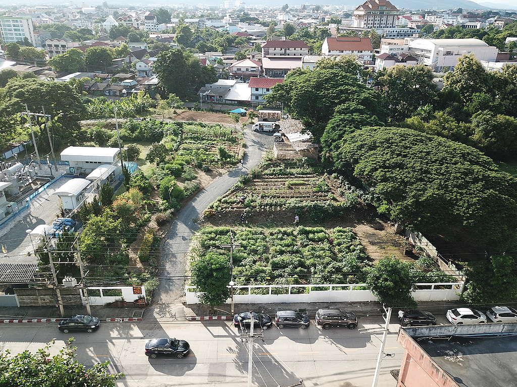 An after view of the plot of land.