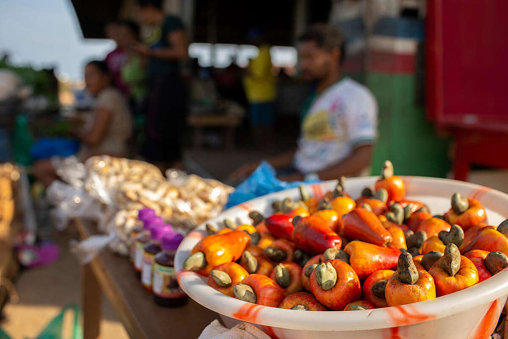 Cashews being sold at the Farmer's Market in Lábrea, Amazon