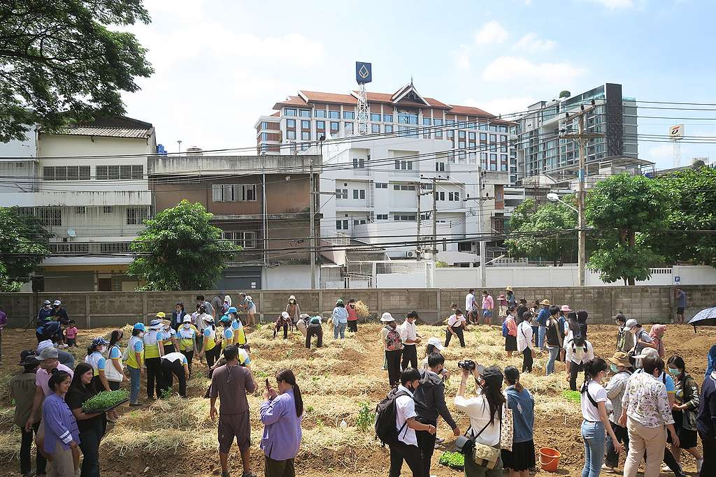 Volunteers at the farm