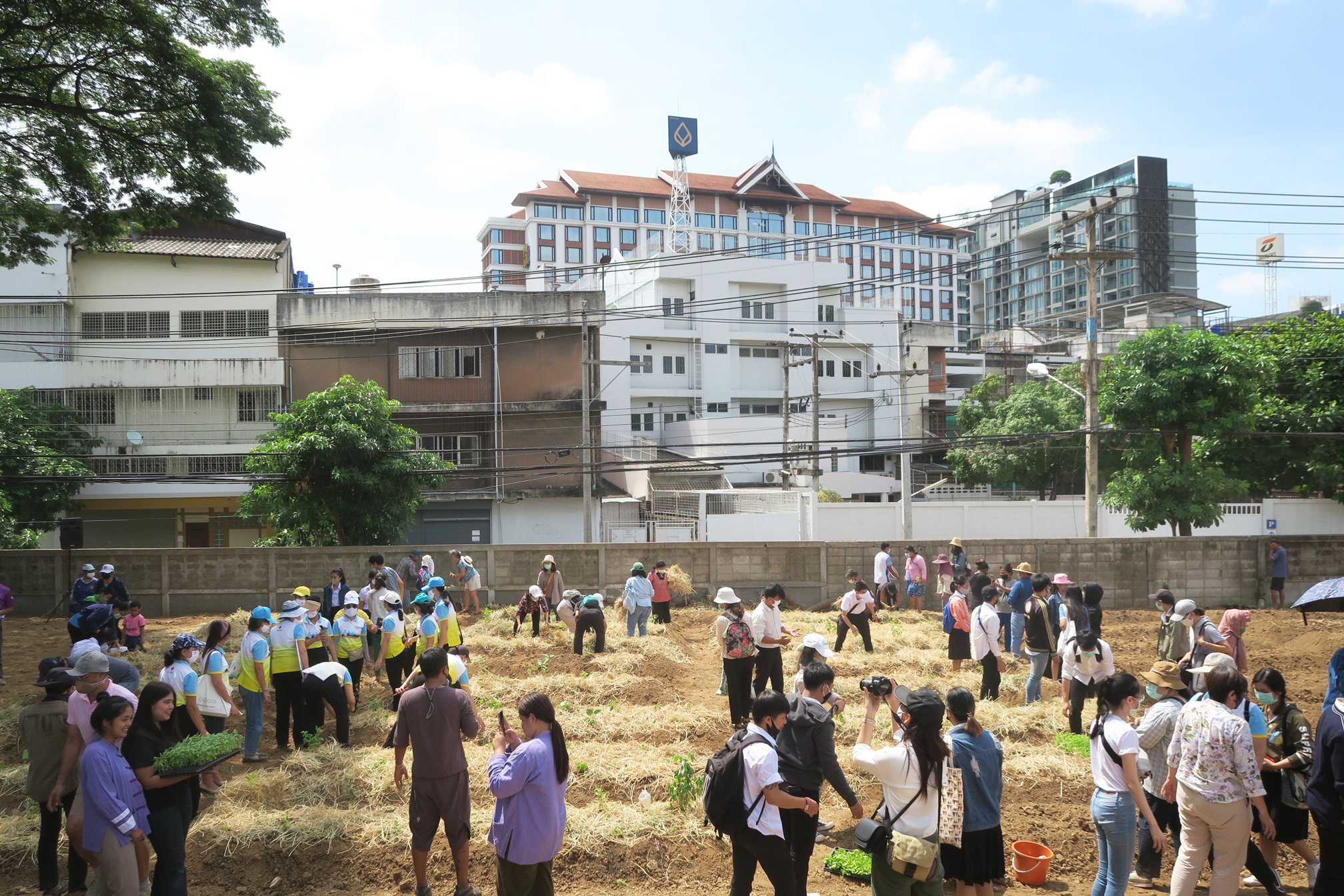 Building better food systems for people and nature