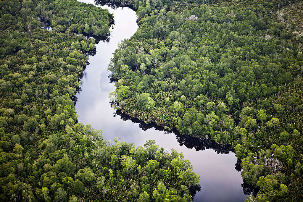 Sungai Sembilang Park in Sumatra. © Kemal Jufri / Greenpeace
