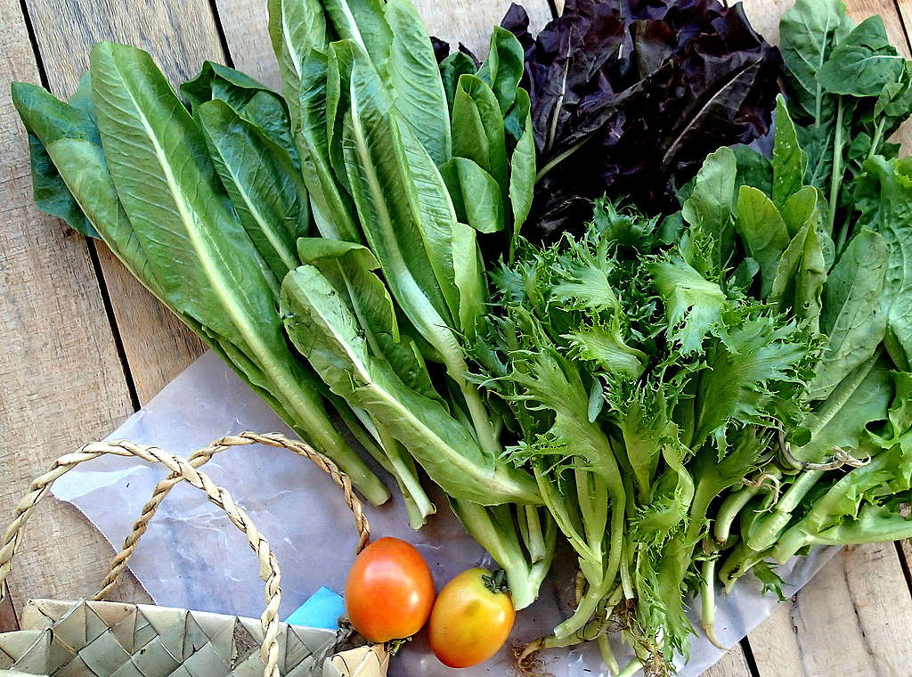 Fresh vegetables and a basket
