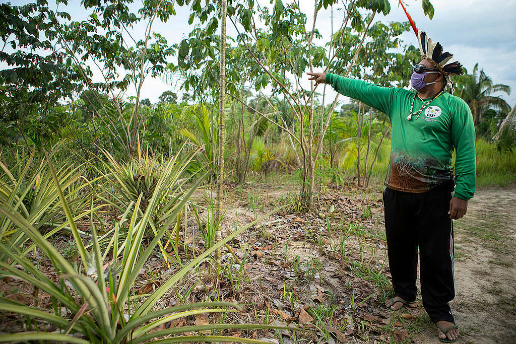 Raimundo Nonato, chief “Puraka” of the Paxiúba village, of the Caititu Indigenous Land, Labrea, Amazon. © Nilmar Lage / Greenpeace Raimundo Nonato, chief “Puraka” of the Paxiúba village, of the Caititu Indigenous Land, Labrea, Amazon. © Nilmar Lage / Greenpeace