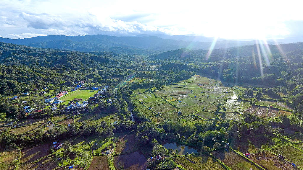 An aerial view of the village