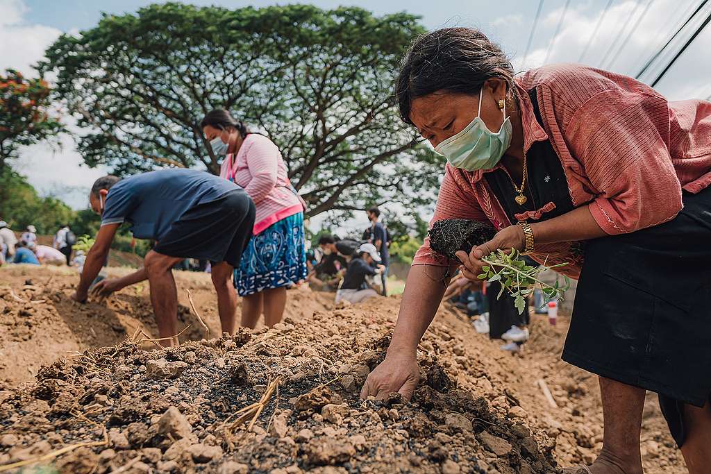 Volunteers helping out at the Chiangmai Urban Farm.