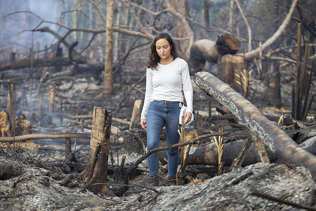 Greenpeace Brazil campaigner Cristiane Mazzetti walks through a recently burned area in the south of the Amazon.   © Nilmar Lage / Greenpeace