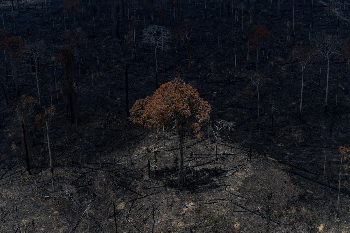 Fire Monitoring in the Amazon in September, 2021. © Victor Moriyama / Greenpeace