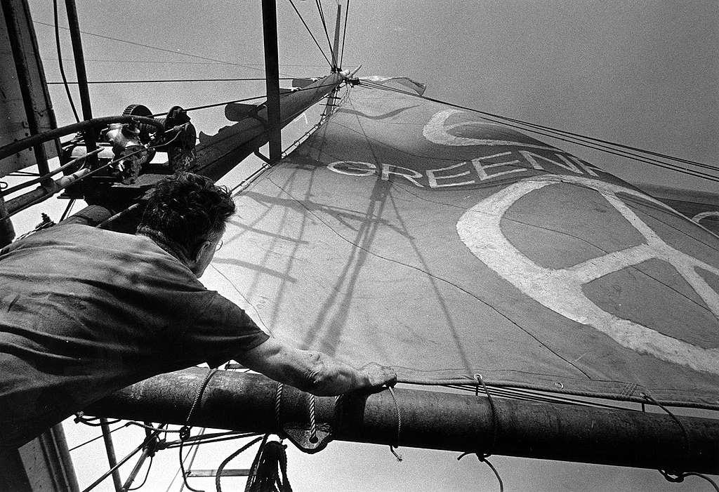 Dave Birmingham Raises Greenpeace Sail on Phyllis Cormack. © Greenpeace / Robert Keziere