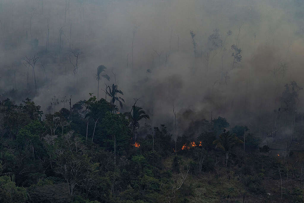 Smoke from the fires in the Amazon cover the sky. September 2021