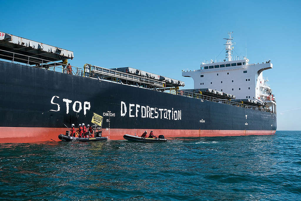 Picture showing Greenpeace France activists painting the words "stop deforestation" on the hull of a ship carrying a cargo of soybeans from Brazil's Cerrado region.