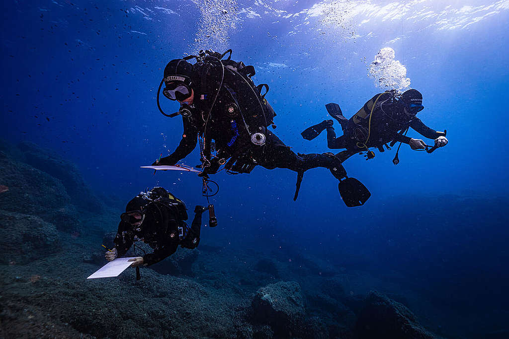 Underwater Sea Temperature Monitoring Station at Elba Island, Italy. © Greenpeace / Lorenzo Moscia Underwater Sea Temperature Monitoring Station at Elba Island, Italy. © Greenpeace / Lorenzo Moscia