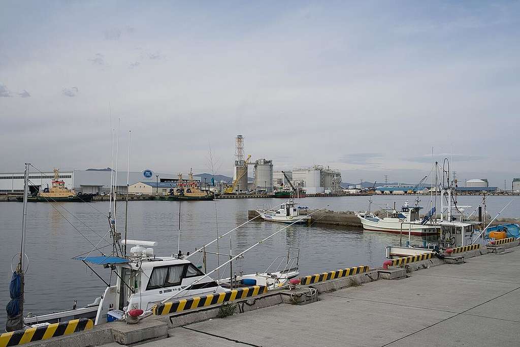 Radiation Survey in Fukushima, Japan. © Greenpeace