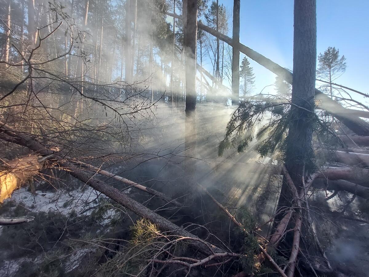 Peat Fires in the Vicinity of Yekaterinburg.