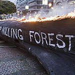 Indigenous leaders from Brazil and Greenpeace Germany activists peacefully demonstrate at the Consumer Goods Forum (CGF) Sustainability Committee Meeting in Berlin against some of the world’s biggest brands, including Nestle, Unilever and Mondelēz, to demand they end their role in forest destruction in the Amazon and across Brazil. 
In front of the venue, activists from Germany placed a tree trunk with the words “Stop Killing Forests”.

In 2010, the CGF and its members promised to end deforestation by 2020 through “responsible sourcing” of commodities such as cattle and soya, key drivers of forest destruction in Brazil. So far, measures taken by the companies indicate that they will fail to keep this promise.

A key concern is the serious increase in violence against Brazilian Indigenous Peoples and the destruction of their lands since President Bolsonaro took office in January.