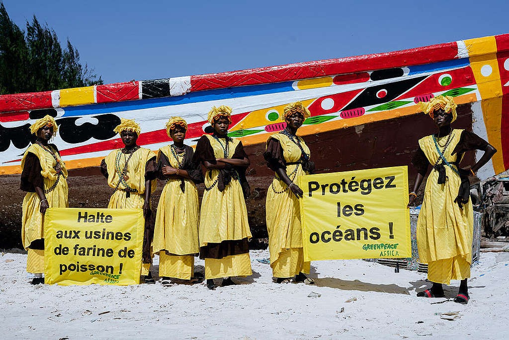 World Fisheries Day Event in Dakar. © Omar Bayo Fall / Greenpeace