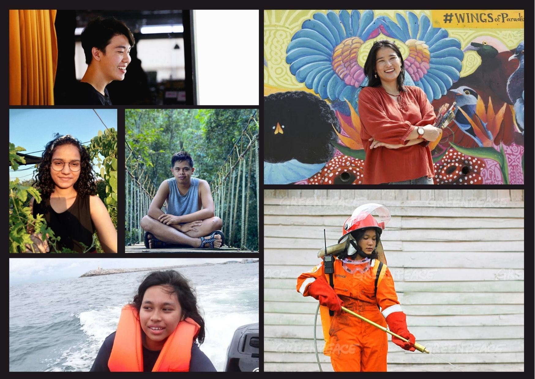 Greenpeace Volunteers