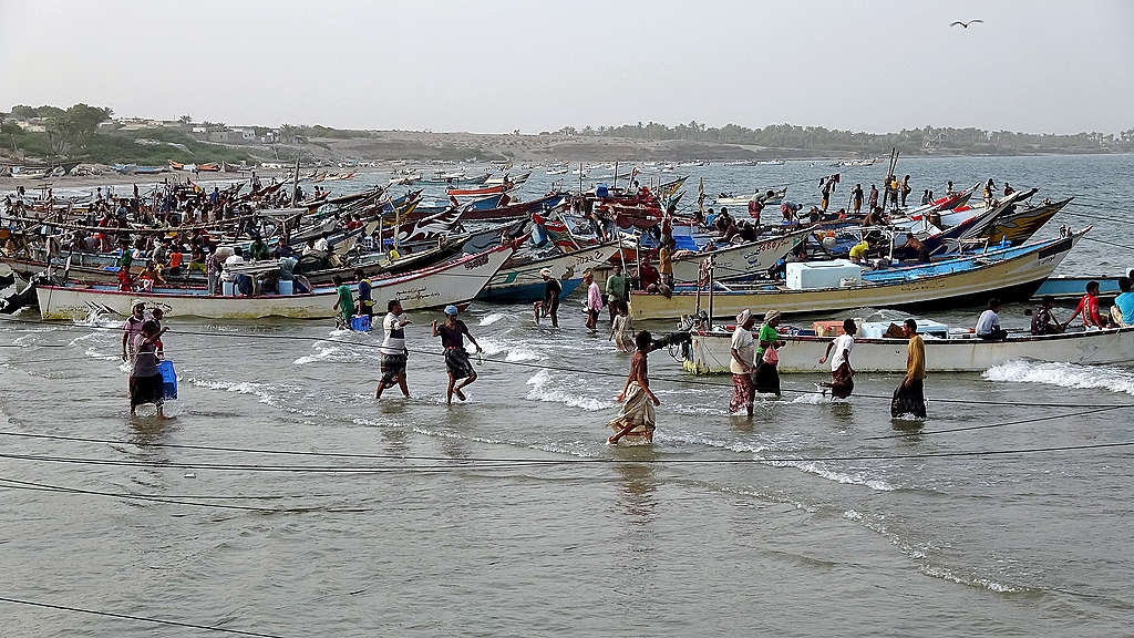 Yemeni fishermen gather by their boats as they return from fishing in the Red Sea