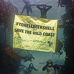 Underwater protest by Sea The Bigger Picture