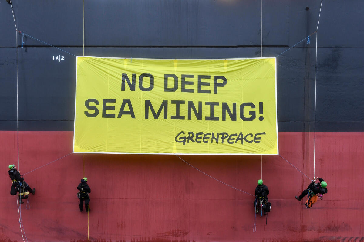 "No Deep Sea Mining" – Action in Rotterdam. © Marten  van Dijl / Greenpeace