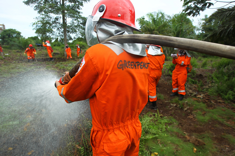Volunteers of Greenpeace Indonesia extinguish the fire on burned peatland during a training of the Forest Fire Prevention team in Teluk Meranti, Riau.