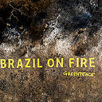 Monument to Destruction in the Pantanal in Brazil. © Leo Otero / Greenpeace
