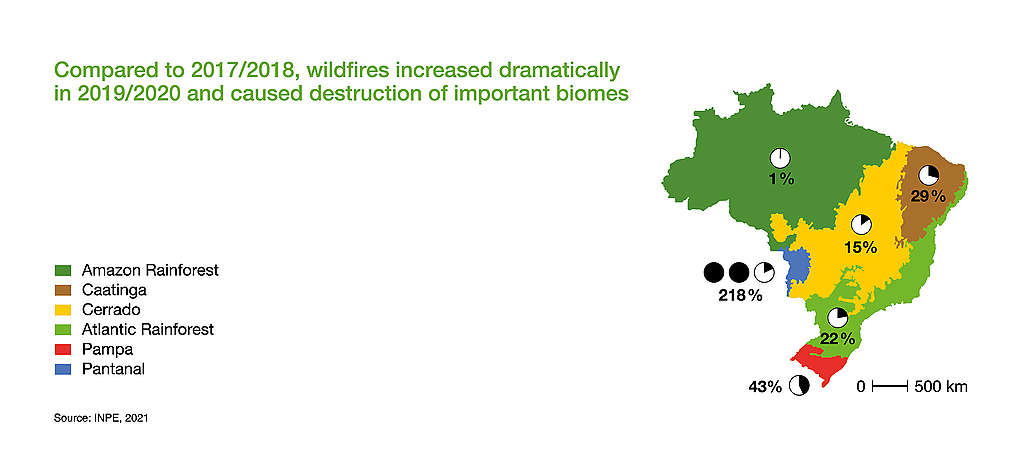 Chart showing how much fires have increased in Brazil and the destruction of biomes.