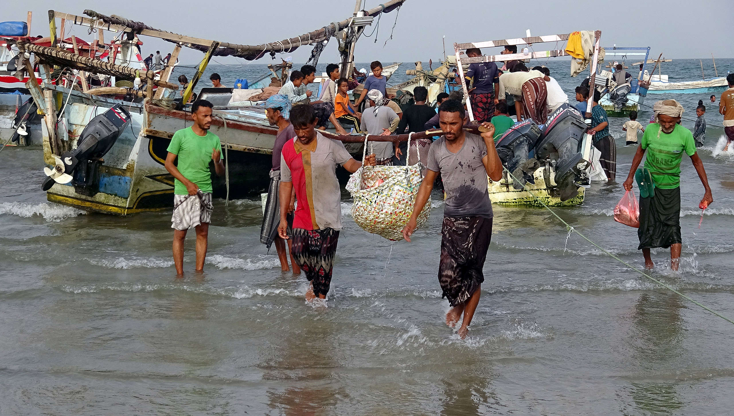 Yemeni fishermen bring their catch off boats