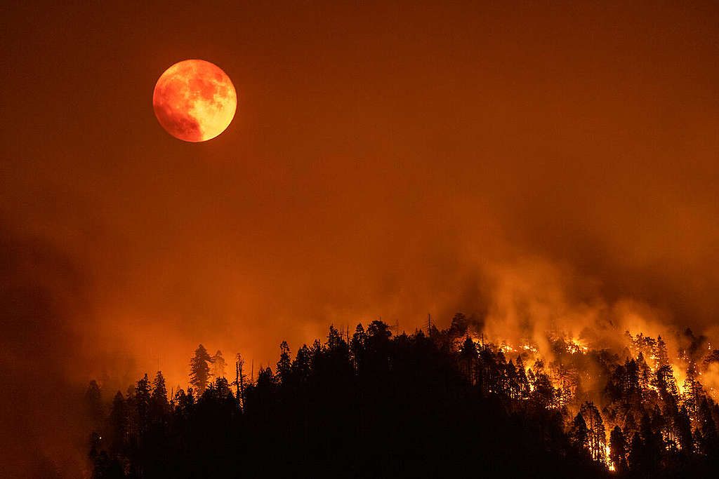 Record Wildfires and Worsening Drought Conditions in California. © David McNew / Greenpeace